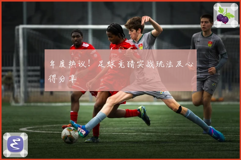 年度热议！足球竞猜实战玩法及心得分享
