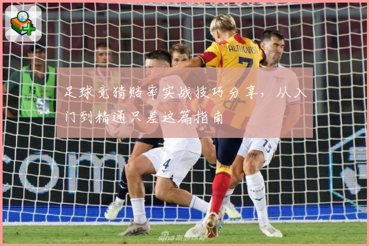 足球竞猜赔率实战技巧分享,从入门到精通只差这篇指南