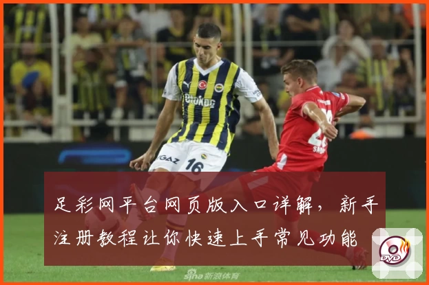 足彩网平台网页版入口详解,新手注册教程让你快速上手常见功能