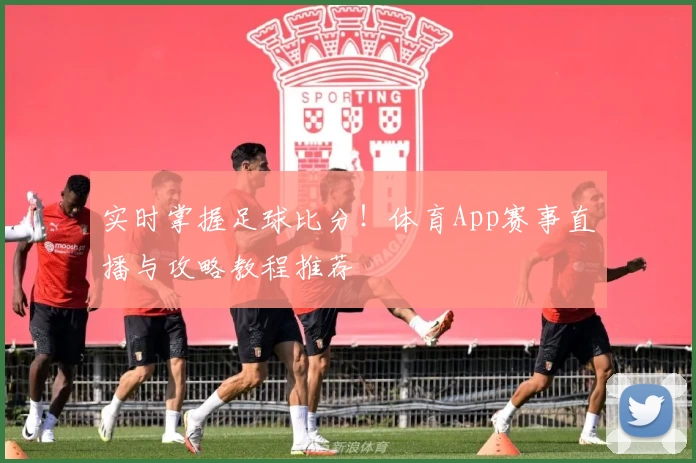 实时掌握足球比分！体育App赛事直播与攻略教程推荐