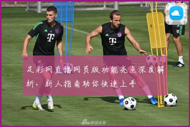 足彩网直播网页版功能亮点深度解析，新人指南助你快速上手