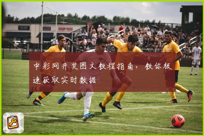 中彩网开奖图文教程指南，教你极速获取实时数据