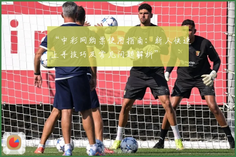 “中彩网购票使用指南：新人快速上手技巧及常见问题解析”