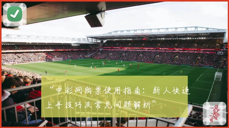 “中彩网购票使用指南:新人快速上手技巧及常见问题解析”